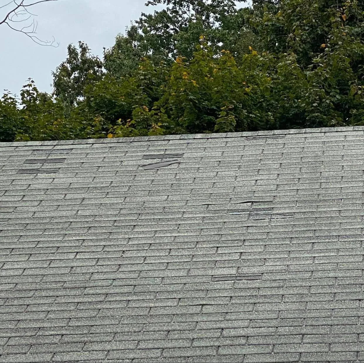 manny-roofing-gallery-49-1920w
